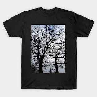 Winter Trees T-Shirt